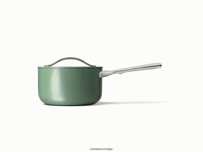 köksredskap salvia D2426028 Caraway kastrull