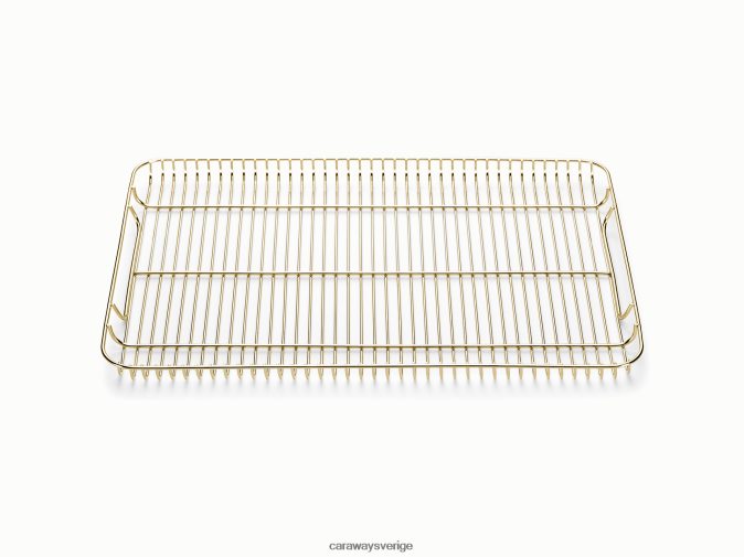 köksredskap glänsande guld D24260204 Caraway kylställ