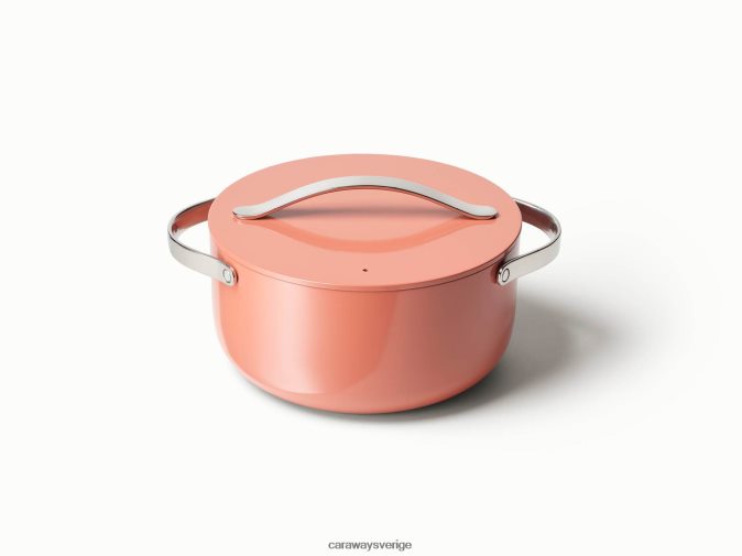 köksredskap perracotta D2426045 Caraway holländsk ugn