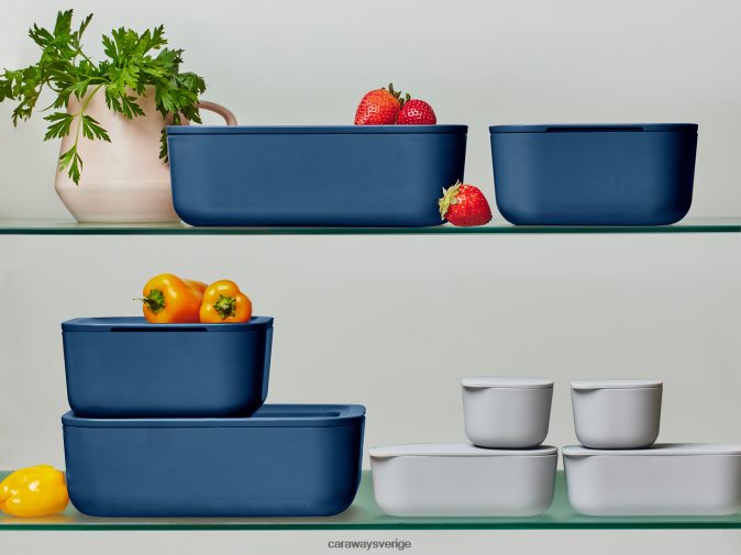 köksredskap Marin D24260209 Caraway matförvaringsset