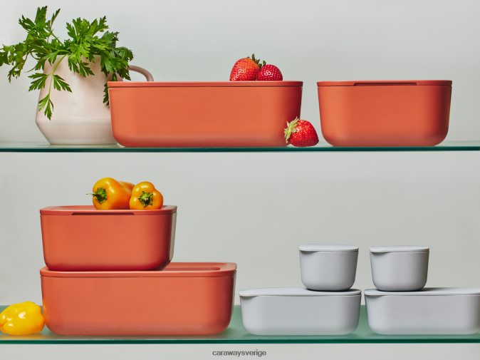 köksredskap perracotta D24260210 Caraway matförvaringsset