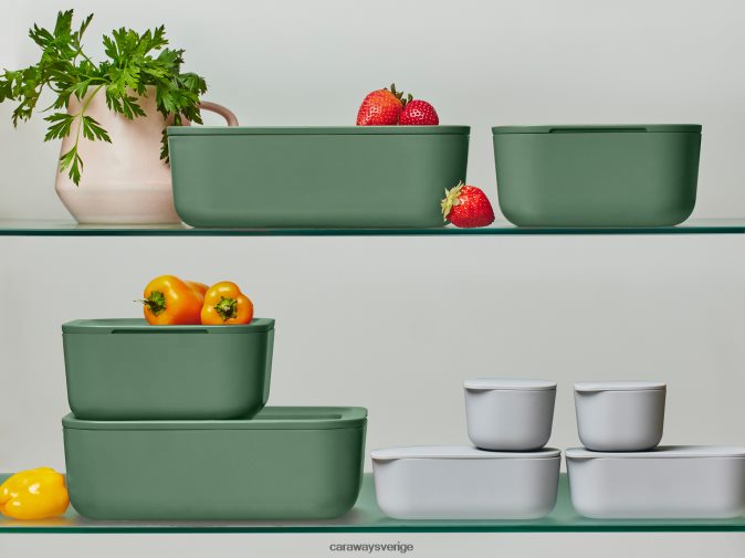 köksredskap salvia D24260206 Caraway matförvaringsset